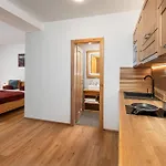 Apartahotel Spindl Self Check-in & Sauna